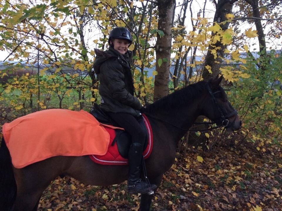 New Forest Rodlease Tango billede 10