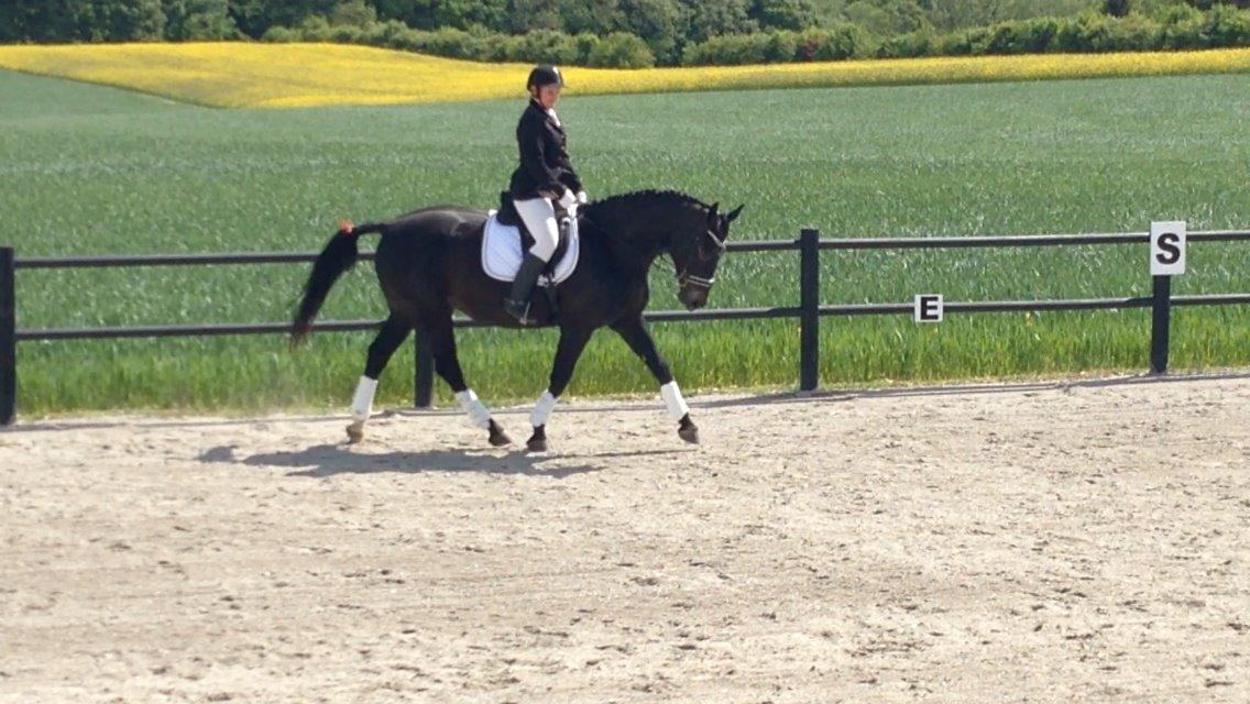 Oldenborg Schousboes Fie billede 5