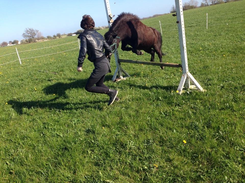 Dansk Miniature Sovs billede 19