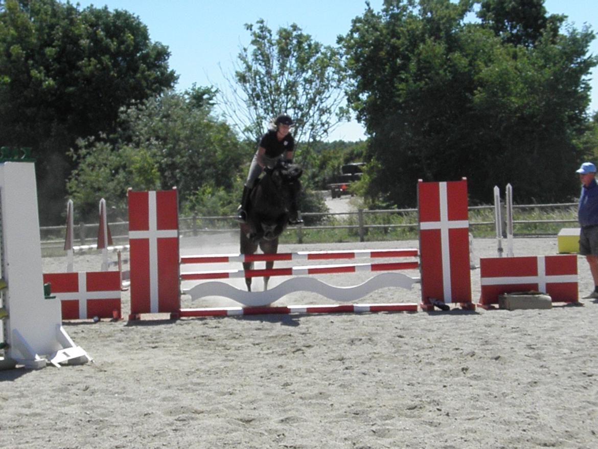 DSP Petit Cyrenaika billede 13