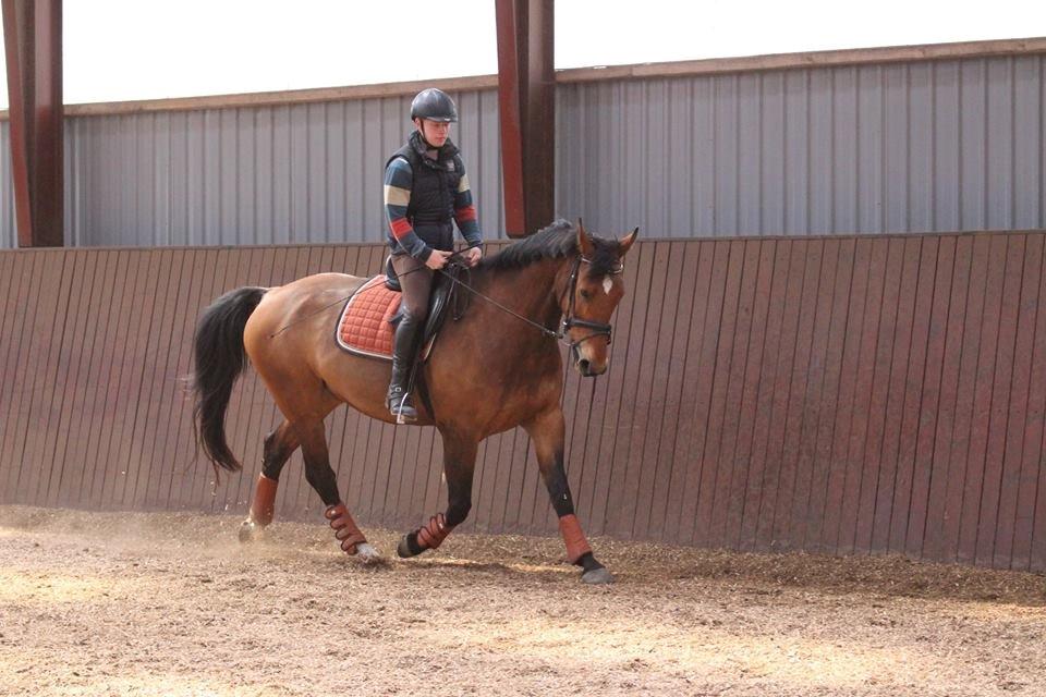 Anden særlig race Rex J Ekko billede 10