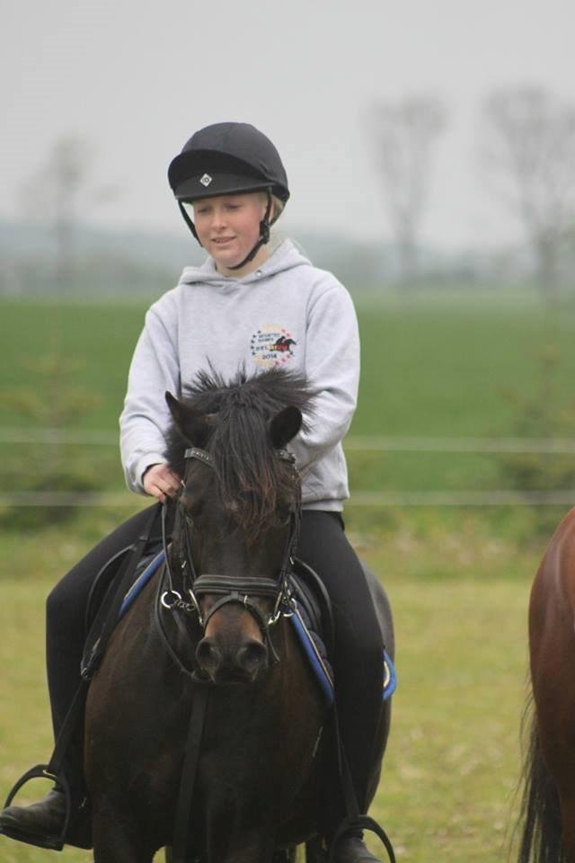 Anden særlig race Dina billede 1