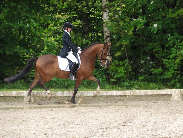 {{currentPhoto.altText}} billede {{currentPhoto.number}}