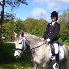 New Forest Maribell's Briony