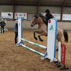 Anden særlig race Manko