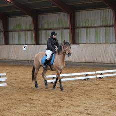 Anden særlig race Manko