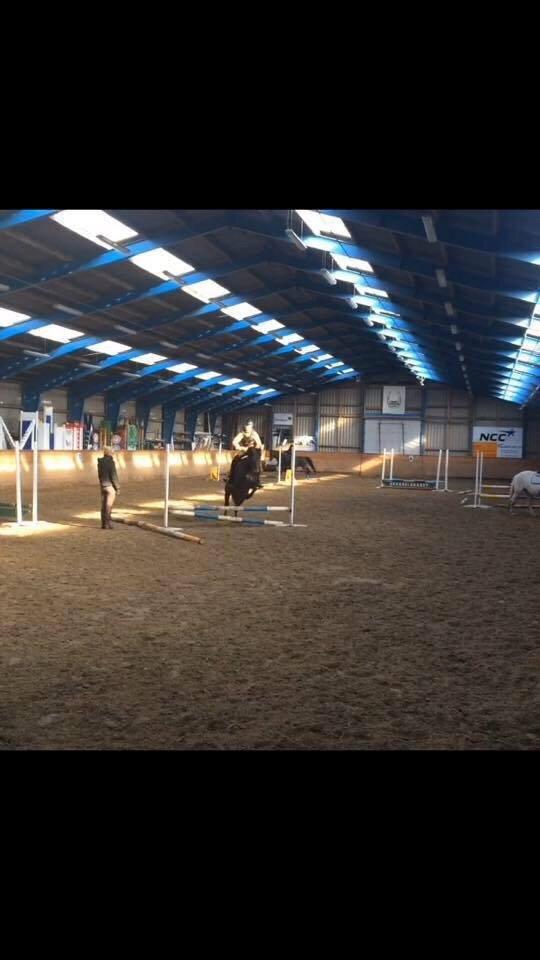 New Forest Rodlease Tango billede 11