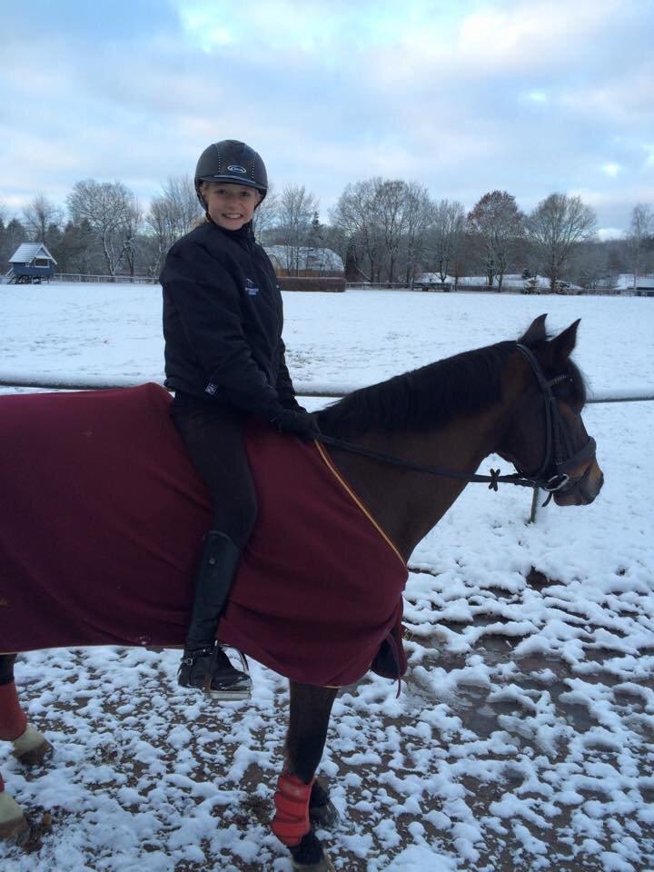 New Forest Rodlease Tango billede 12