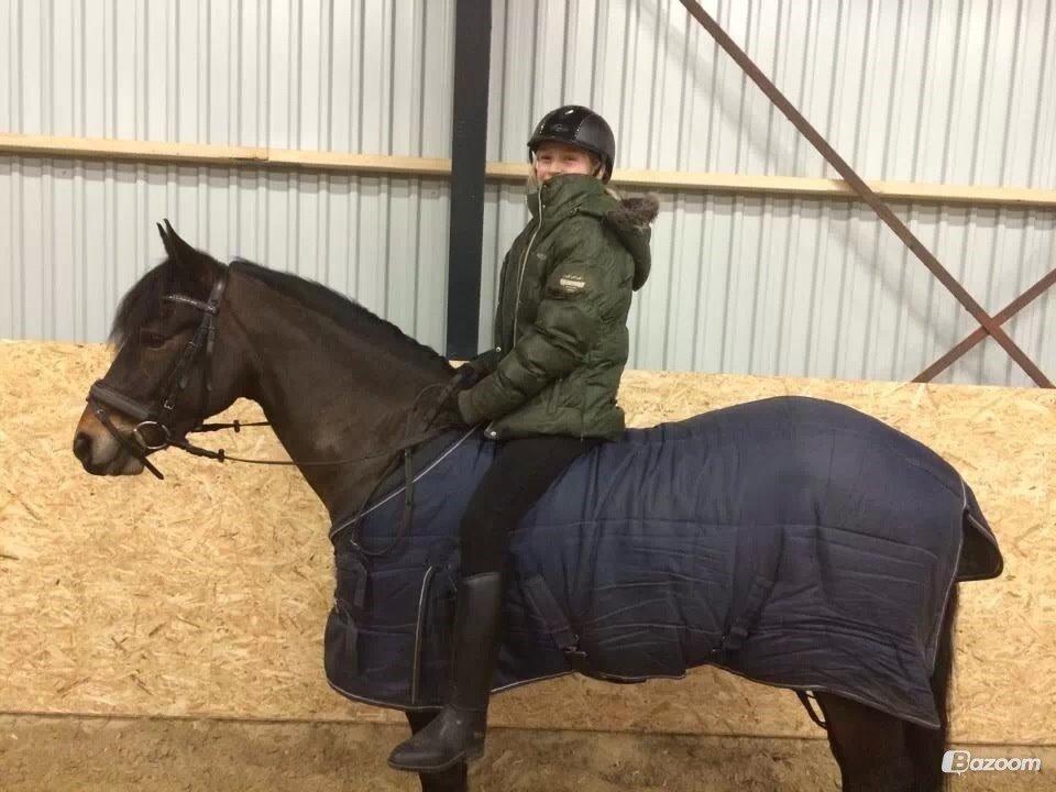 New Forest Rodlease Tango billede 13