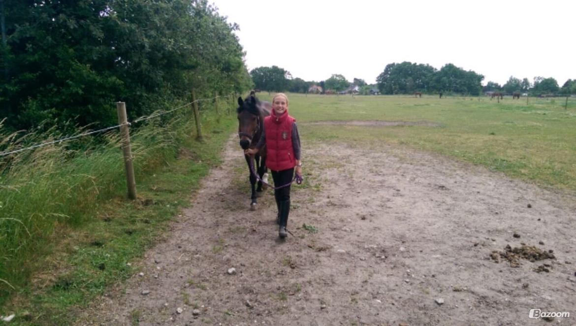 New Forest Rodlease Tango billede 15