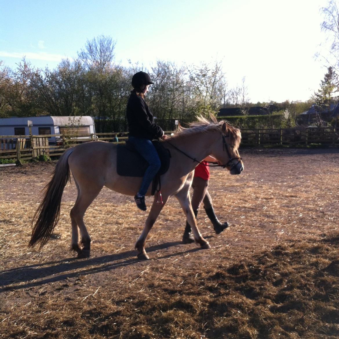 Anden særlig race Ronja billede 6