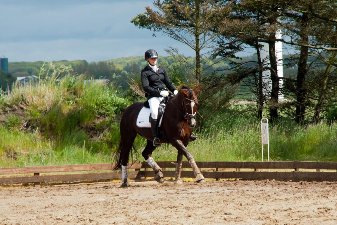 Oldenborg Camilla Mellergård - 30. maj 2015 Ronja og Mille i Nejst billede 4