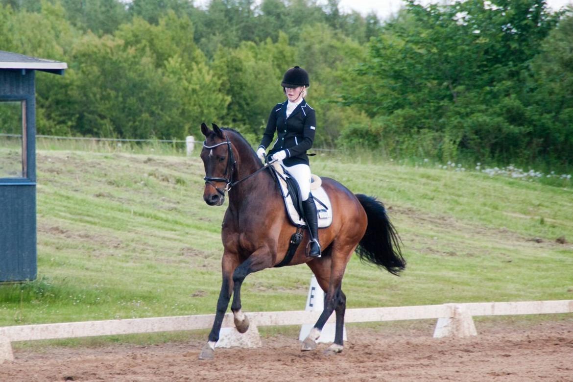 Trakehner M-speedy billede 5