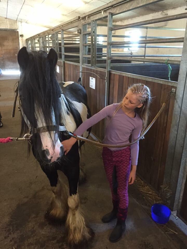 Tinker Oliver billede 2