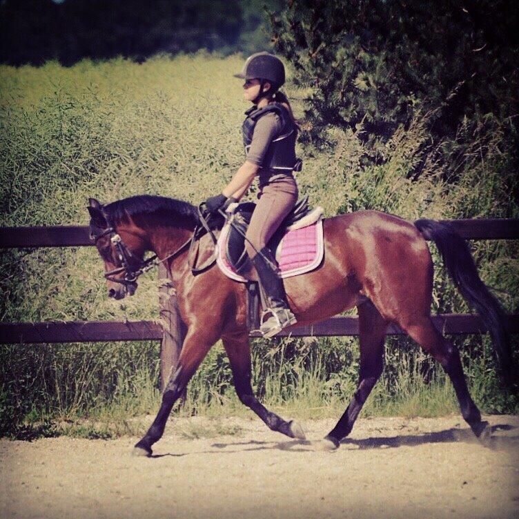 Anden særlig race Strøgårdens tøsen billede 1