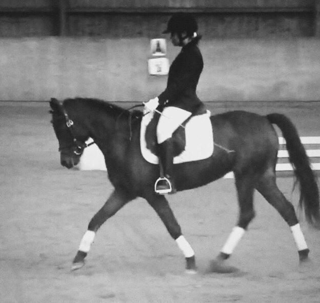 Anden særlig race Strøgårdens tøsen billede 2