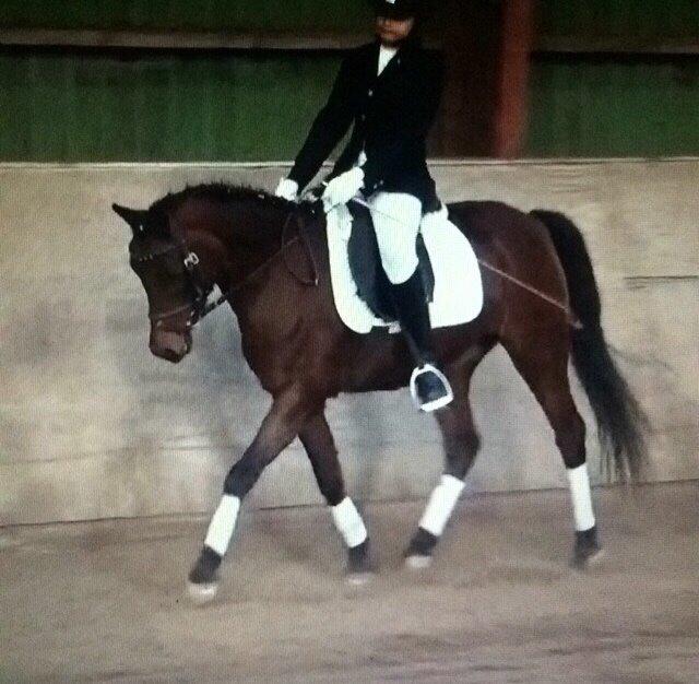 Anden særlig race Strøgårdens tøsen billede 5