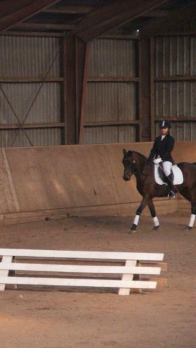 Anden særlig race Strøgårdens tøsen billede 3