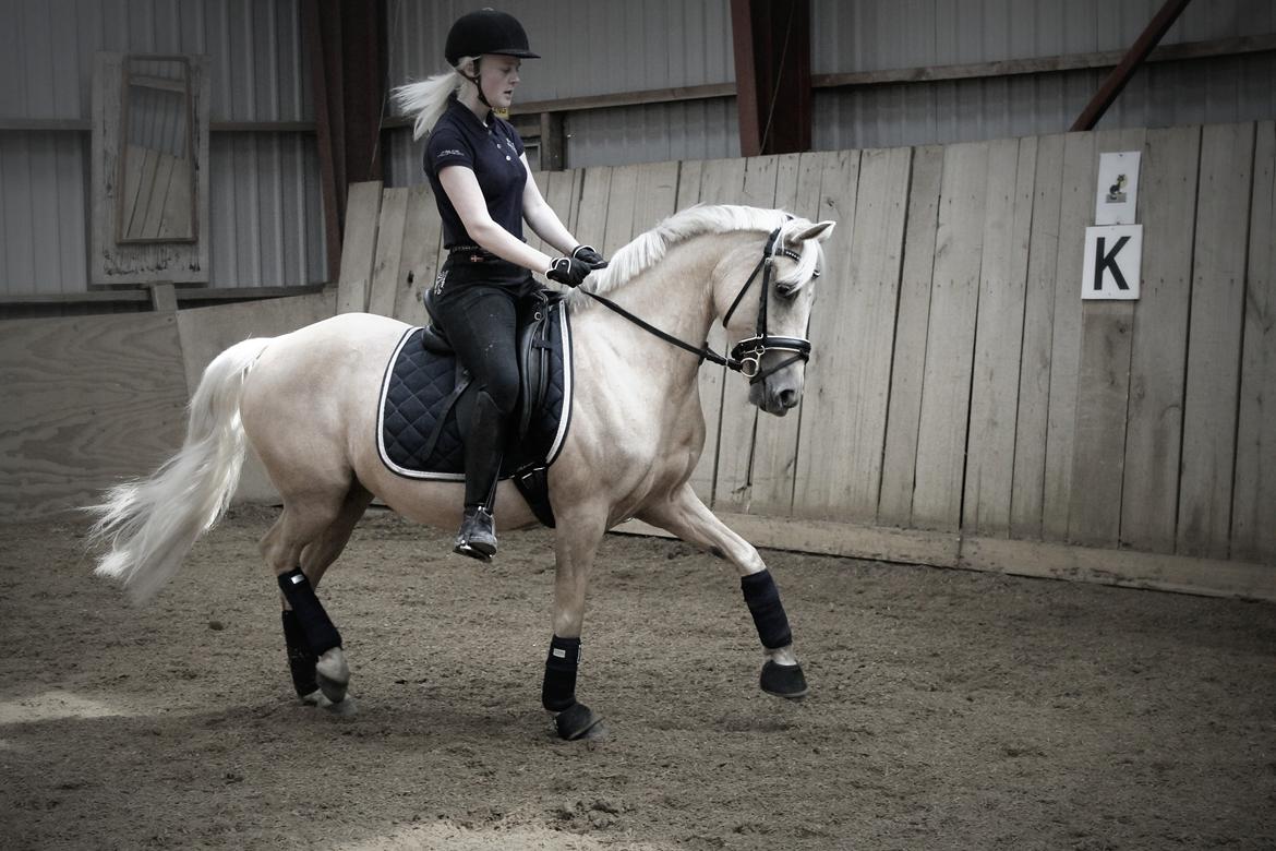 DSP Attention billede 1