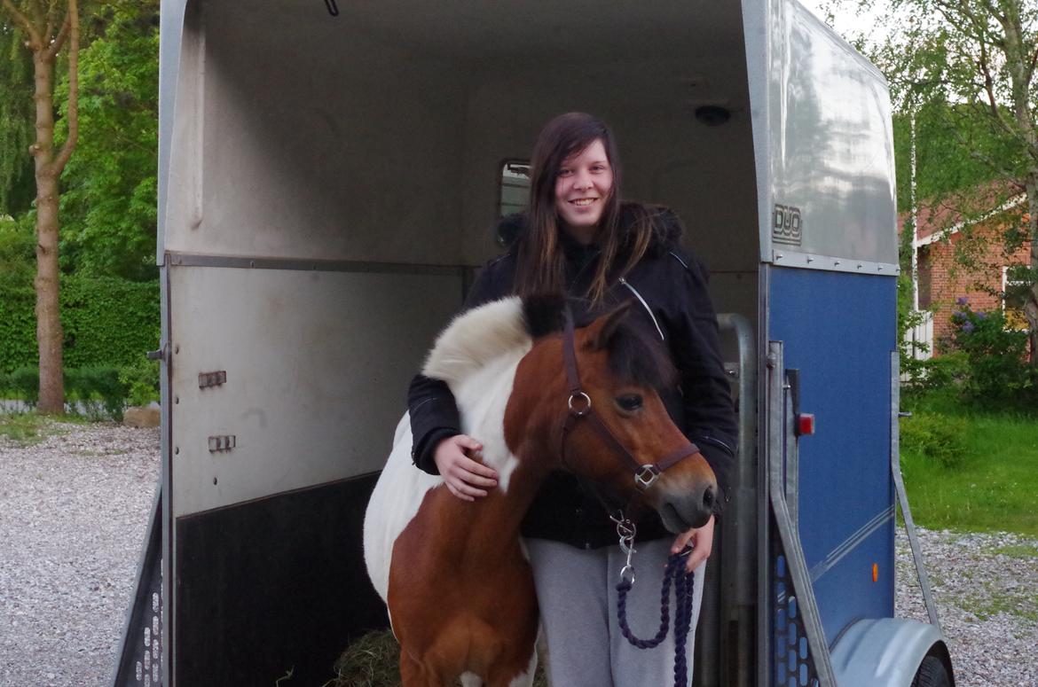 Anden særlig race Lucky Luke  - Ankommet til hans nye hjem <3 billede 8