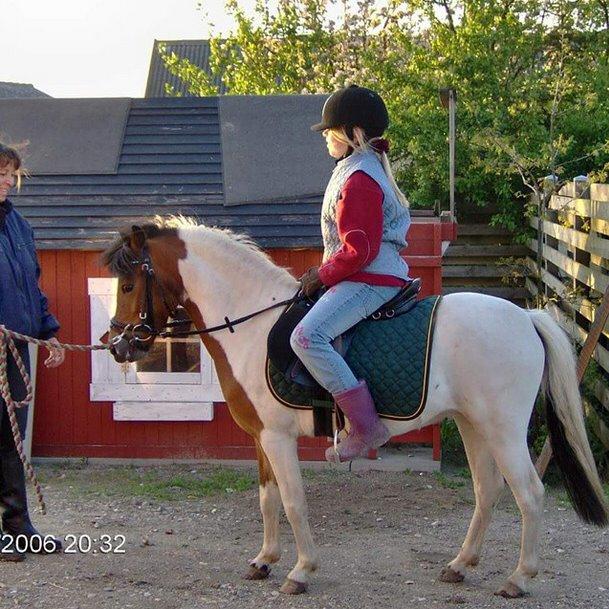 Anden særlig race Lucky Luke  - Tilbage i 2006 :') billede 3