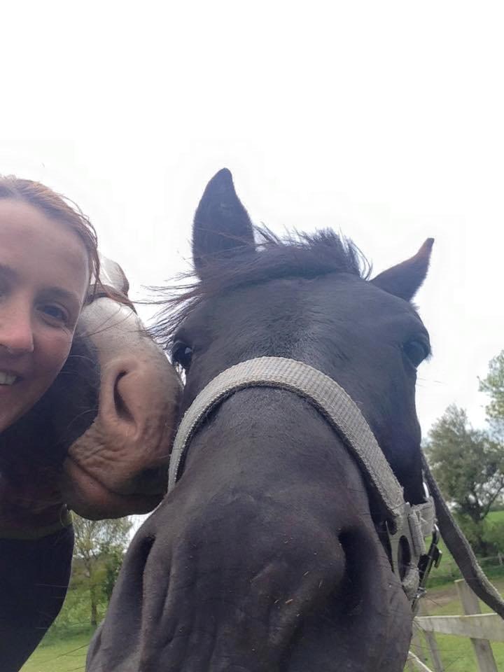 New Forest Elmholts Helios billede 8