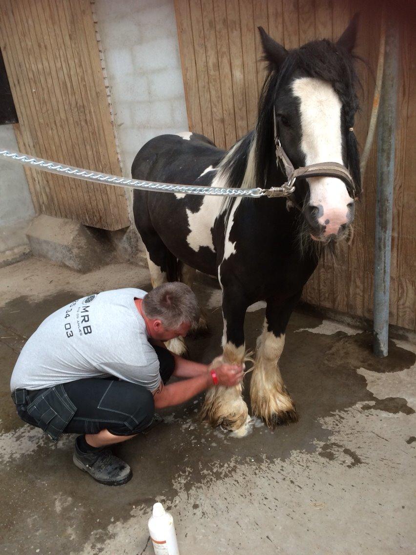 Tinker Oliver billede 7