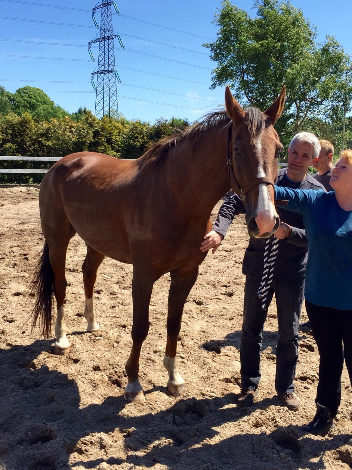 Westfaler Eskoria billede 3