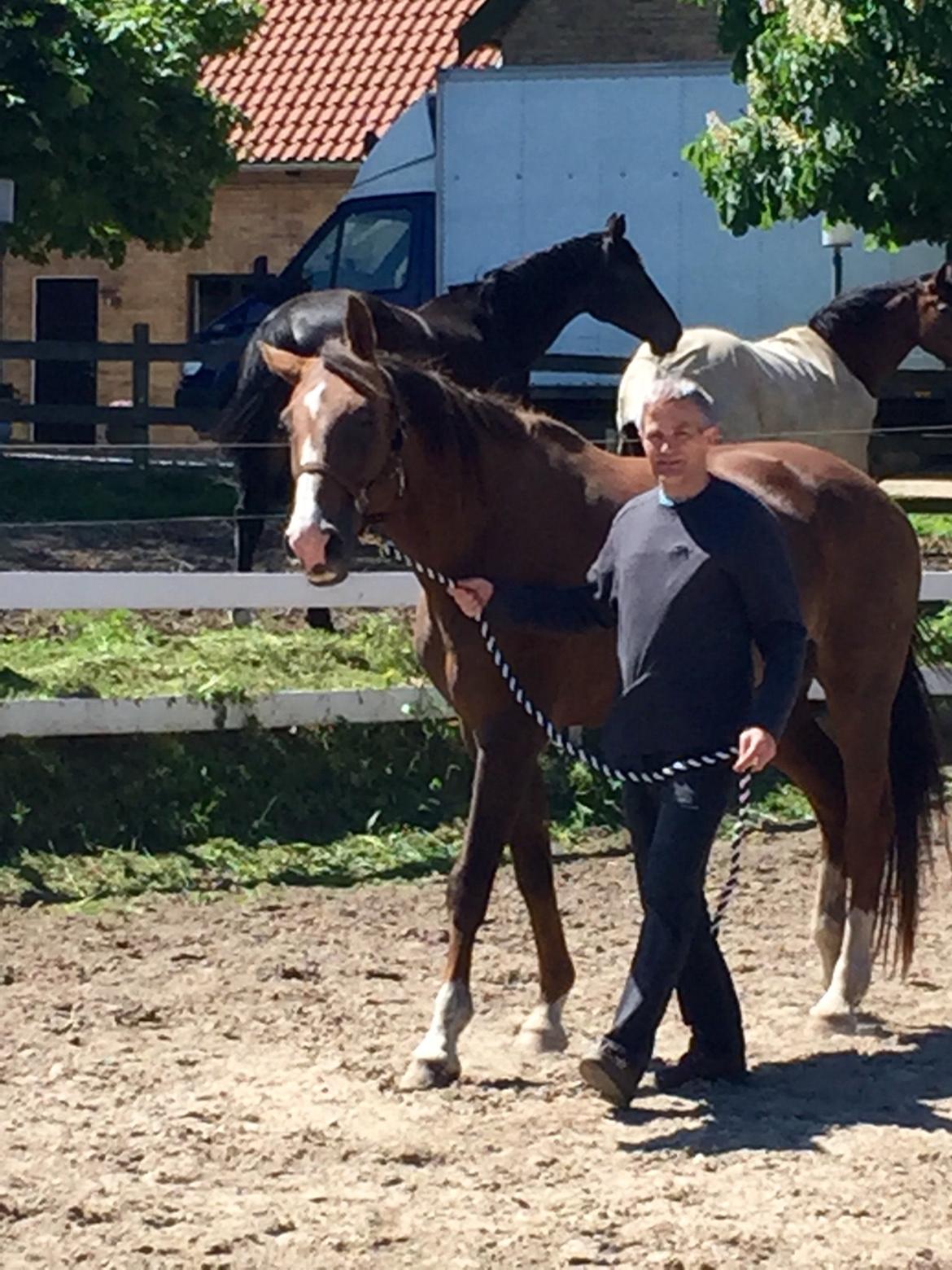 Westfaler Eskoria billede 4