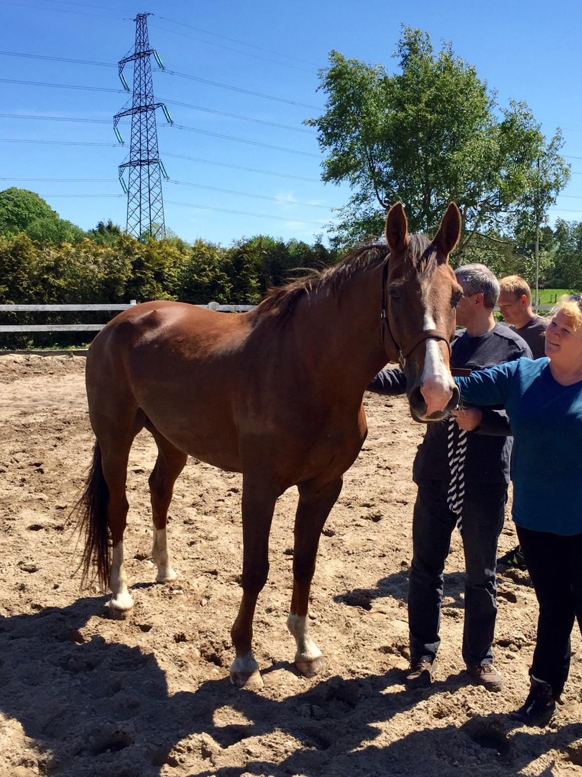 Westfaler Eskoria billede 1