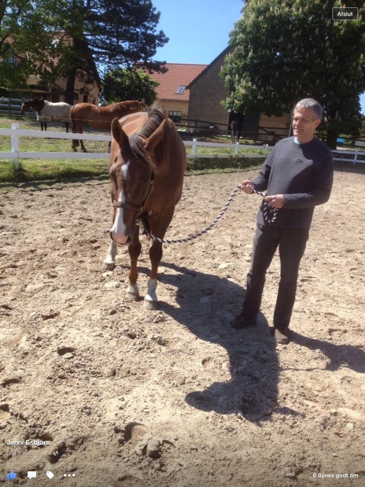 Westfaler Eskoria billede 6