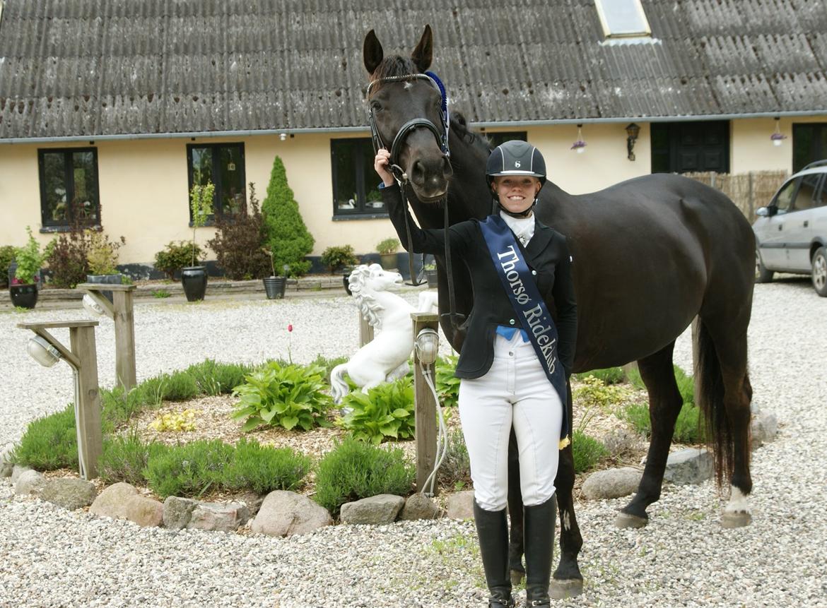 Hannoveraner Daphne kild - 2. plads i Thorsø cup LA hest 15 billede 25