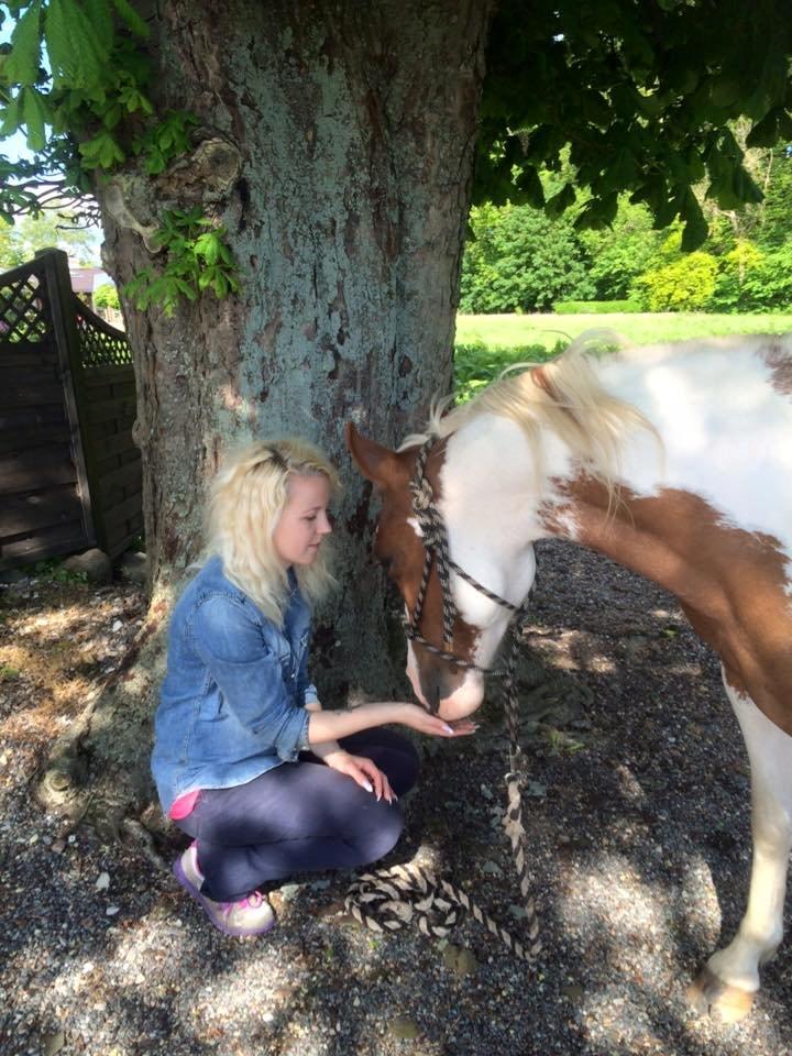 Pinto Araber Shakira (tidligere hest) billede 8