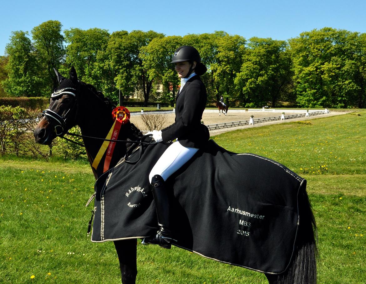 Dansk Varmblod Stenholt Amilla - Aarhusmester i MB3 2015 <3 billede 1