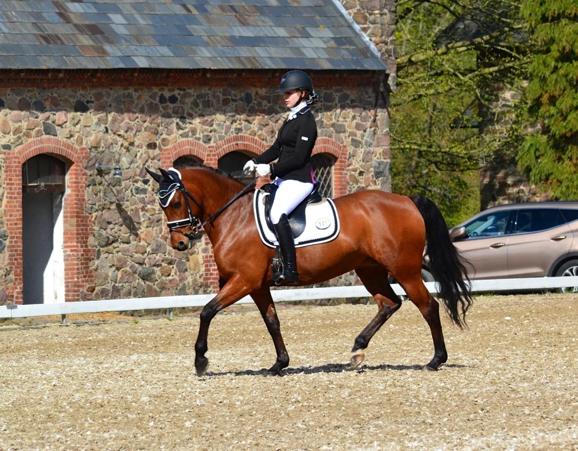 DSP Nikita billede 5