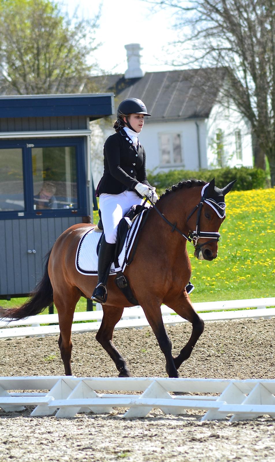 DSP Nikita billede 4