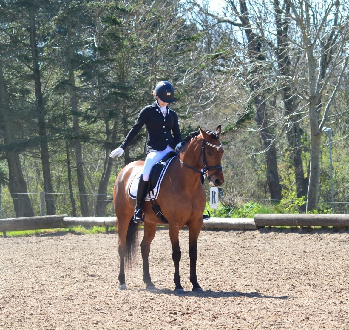 DSP Nikita billede 8