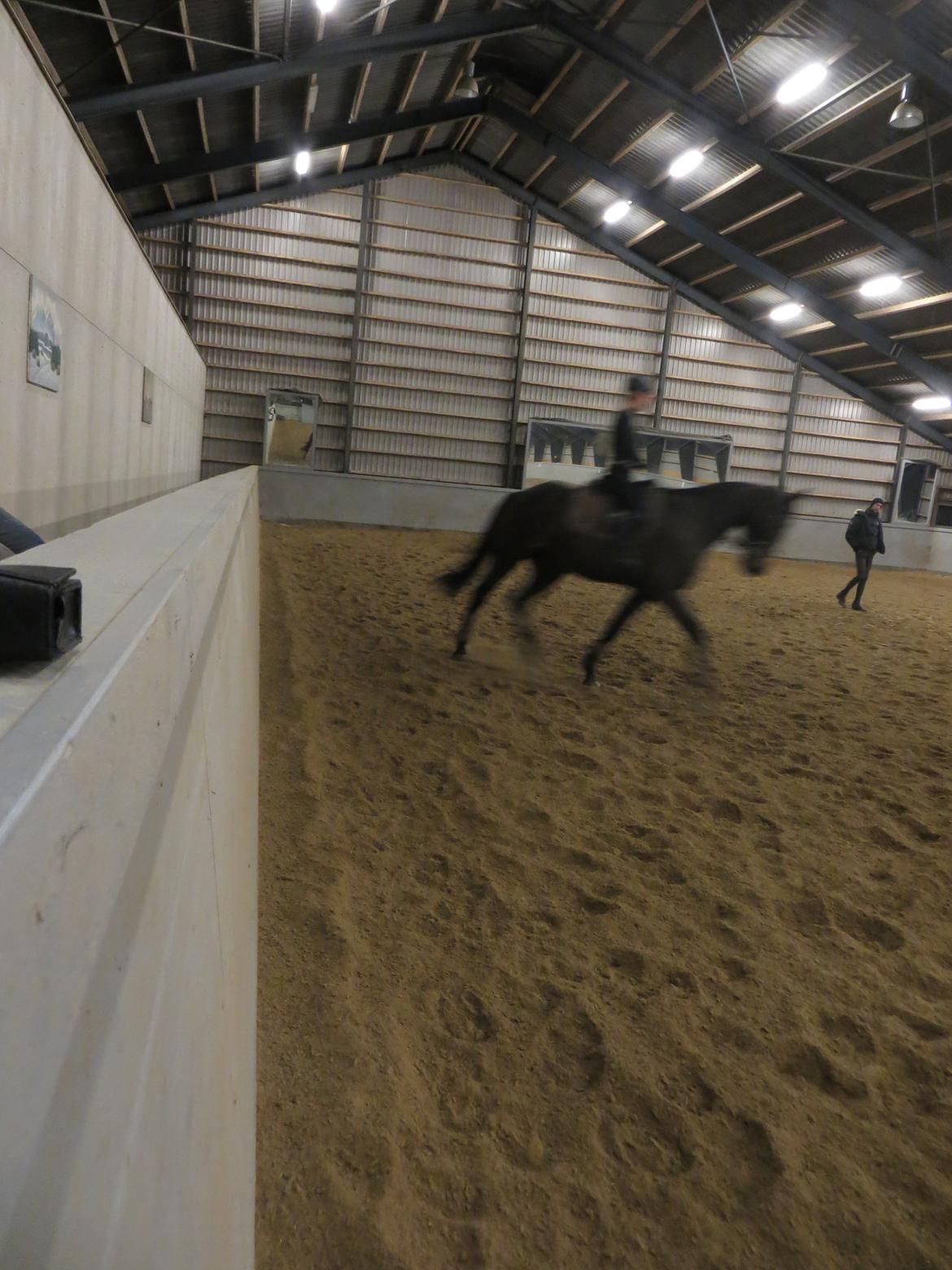 Dansk Varmblod Stald Nyborgs Chantell - En af de første gange vi red undervisning ved Martin. Baby kan flytte fusserne :D billede 34