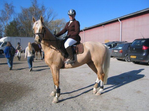 Anden særlig race Copys Le Charmeur - Lånt billede :-) billede 20