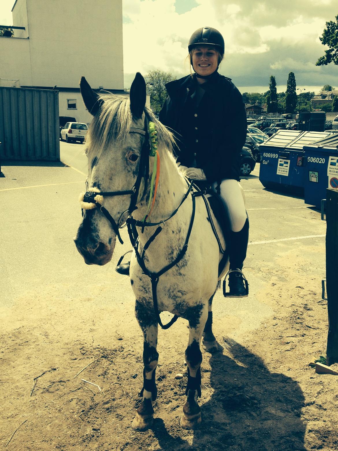 Knabstrupper Rikke Af Dutterup - Nels og Josefine cup MAK 30/6 billede 12