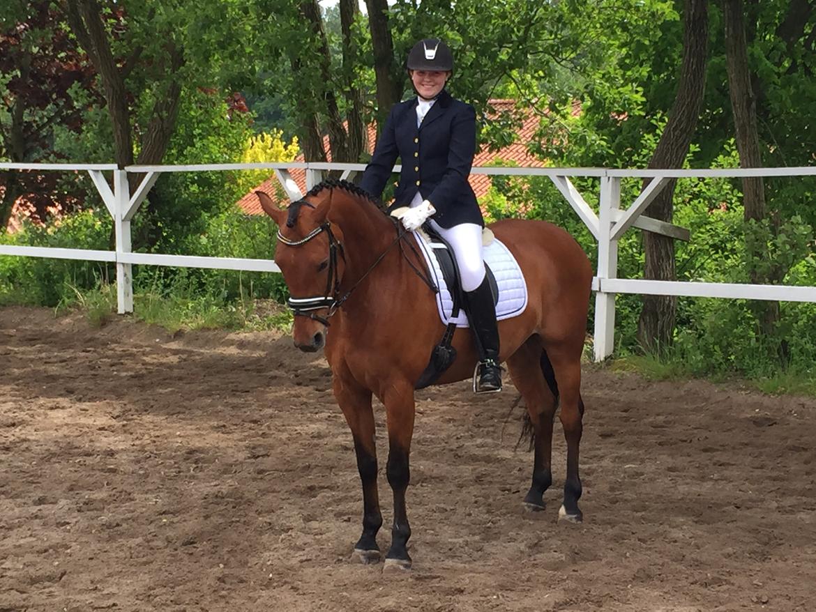 Anden særlig race Archibald - Vinder af 1. afd. af klubmesterskab med 68,9% i vores første LA4 <3  billede 8