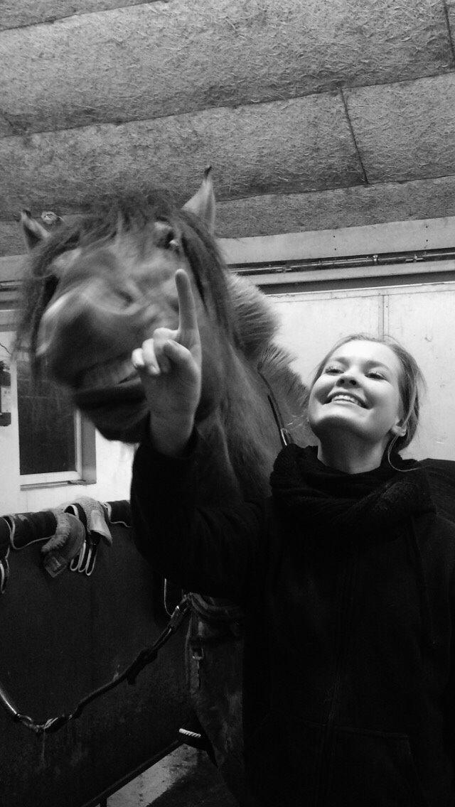 Anden særlig race Joker AKA Jokke billede 14