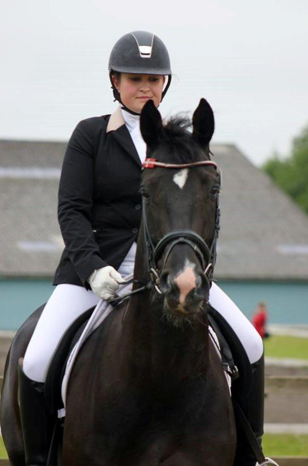 Dansk Varmblod DIA DE CANNON billede 28