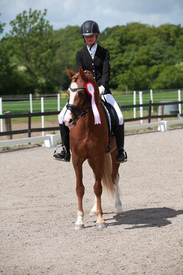 DSP Hoppesgård Stella - Stævne på SGR. Vinder pony <3 billede 14