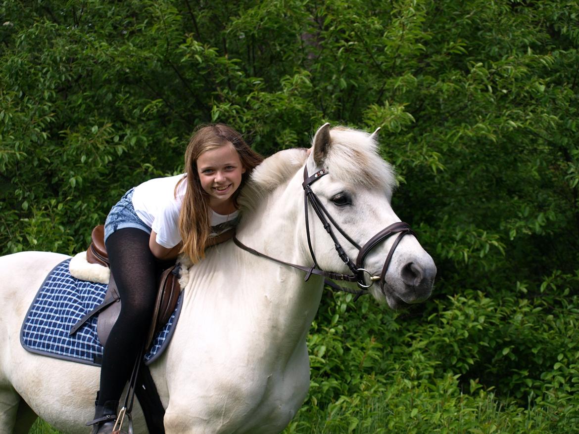 Fjordhest Lyngholms Arcon - på tur! billede 6