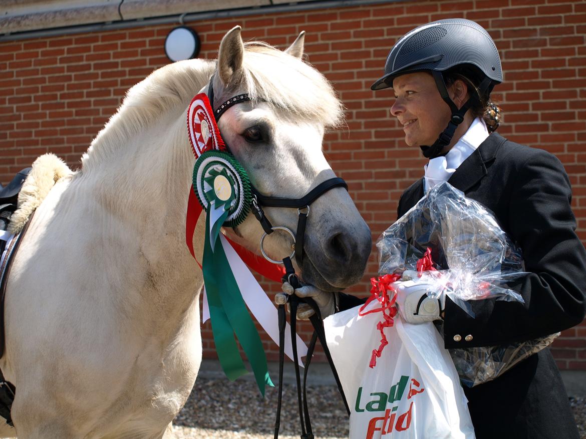 Fjordhest Lyngholms Arcon - stævne i horsens<3 bedste LB1 nogensinde! en tredjeplads i LC3 og vinder af klassen LB1!!<3 seje pony<3 billede 29