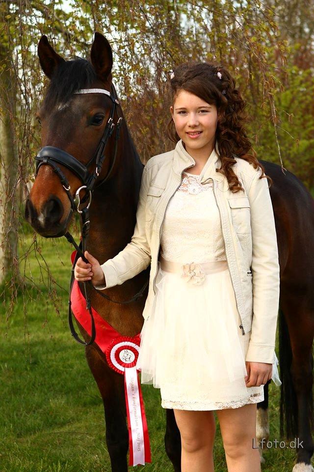 Tysk Sportspony Candy - konfirmation d. 1 maj 2015<3 billede 9