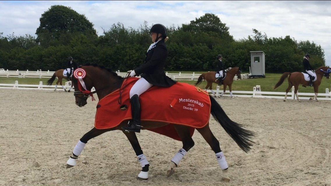 Hollandsk Sportspony Xantal-Jr. A / FEI-pony  - DISTRIK 10 MESTER 2015 billede 3