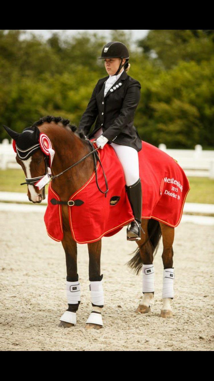 Hollandsk Sportspony Xantal-Jr. A / FEI-pony  billede 4