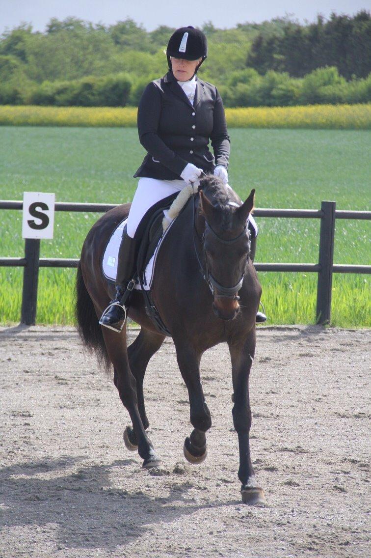 Anden særlig race Lineda billede 16